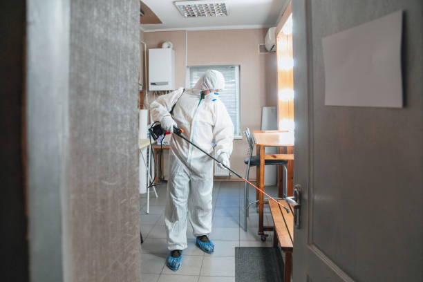 Reliable Oakwood, IL Mold Removal Solutions